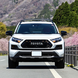 RAV4 AXAH54