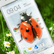 Ladybug in Phone Funny joke 2.3 Icon