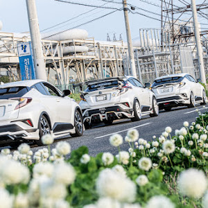 C-HR ZYX10