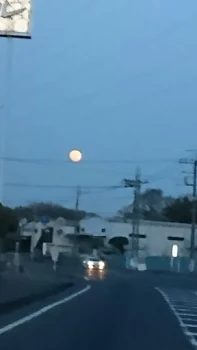 どうしているの