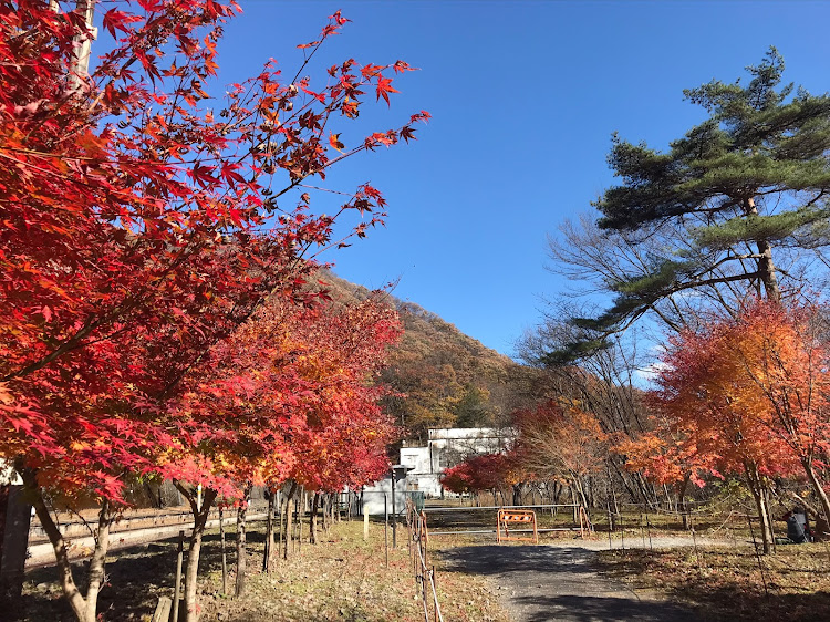 の投稿画像8枚目