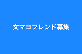 文マヨフレンド募集