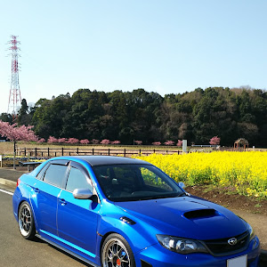 インプレッサ WRX STI GVB