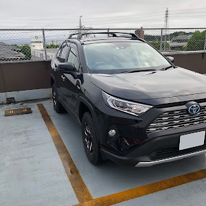 RAV4 AXAH54