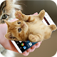 Download On Screen Cat Walks: Funny & Cute Animation For PC Windows and Mac 1.1