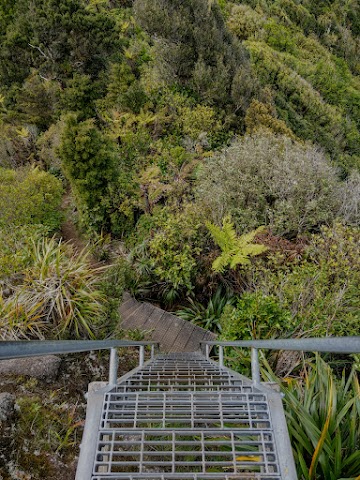 Mount Karioi Summit Track Stairs