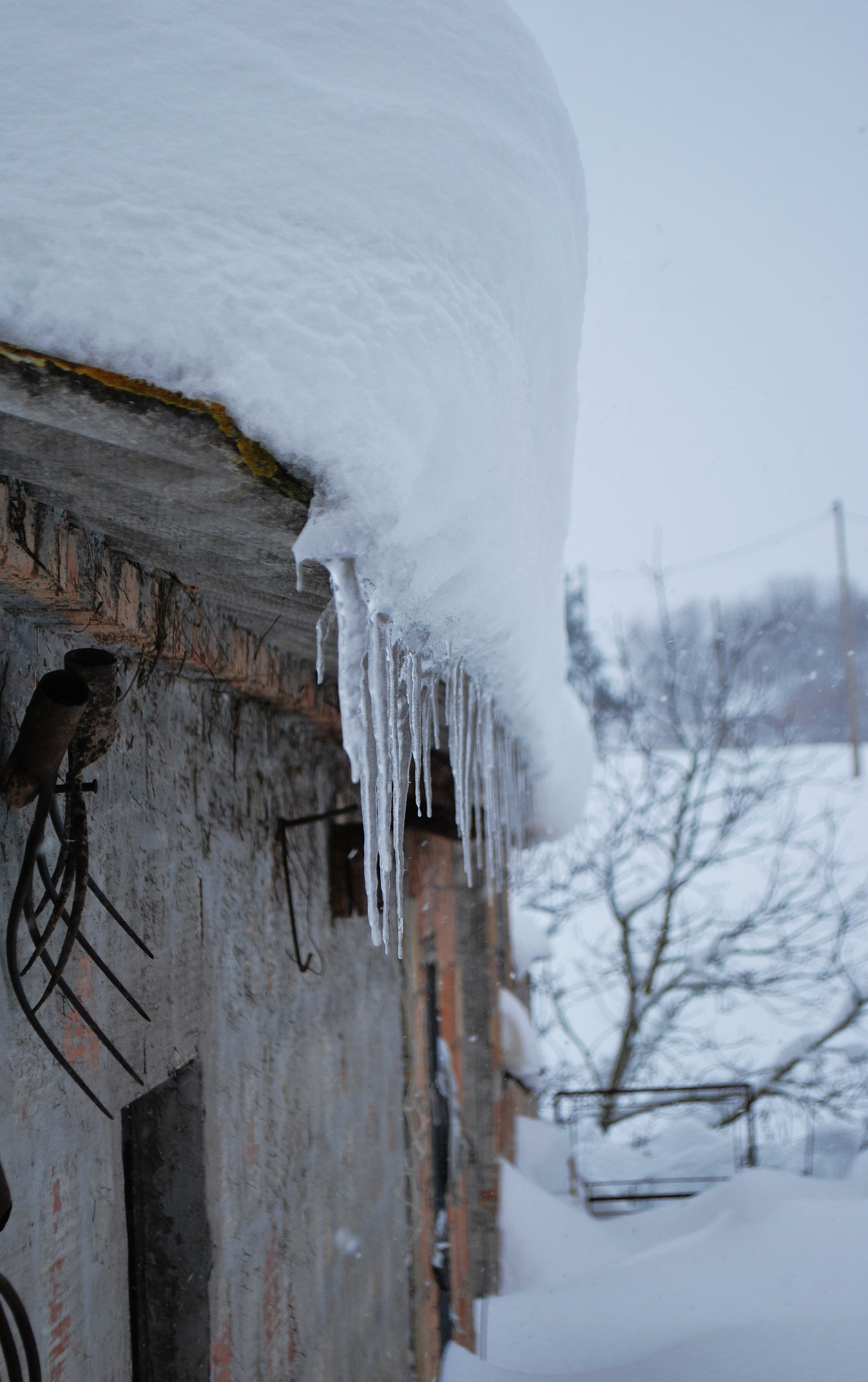 Neve e ghiaccio, ghiaccio e neve di micaela.ottaviani