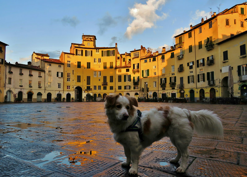 Piazza Anfiteatro Lucca di Giorgio Lucca