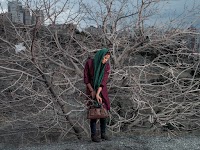 Foto uit boek Blank Pages of an Iranian Photo Album