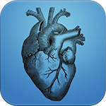 Auscultation Cardiaque Apk