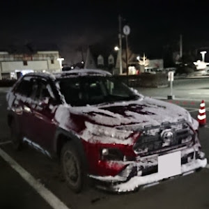 RAV4 MXAA54