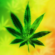 Weed Live Wallpaper  Icon