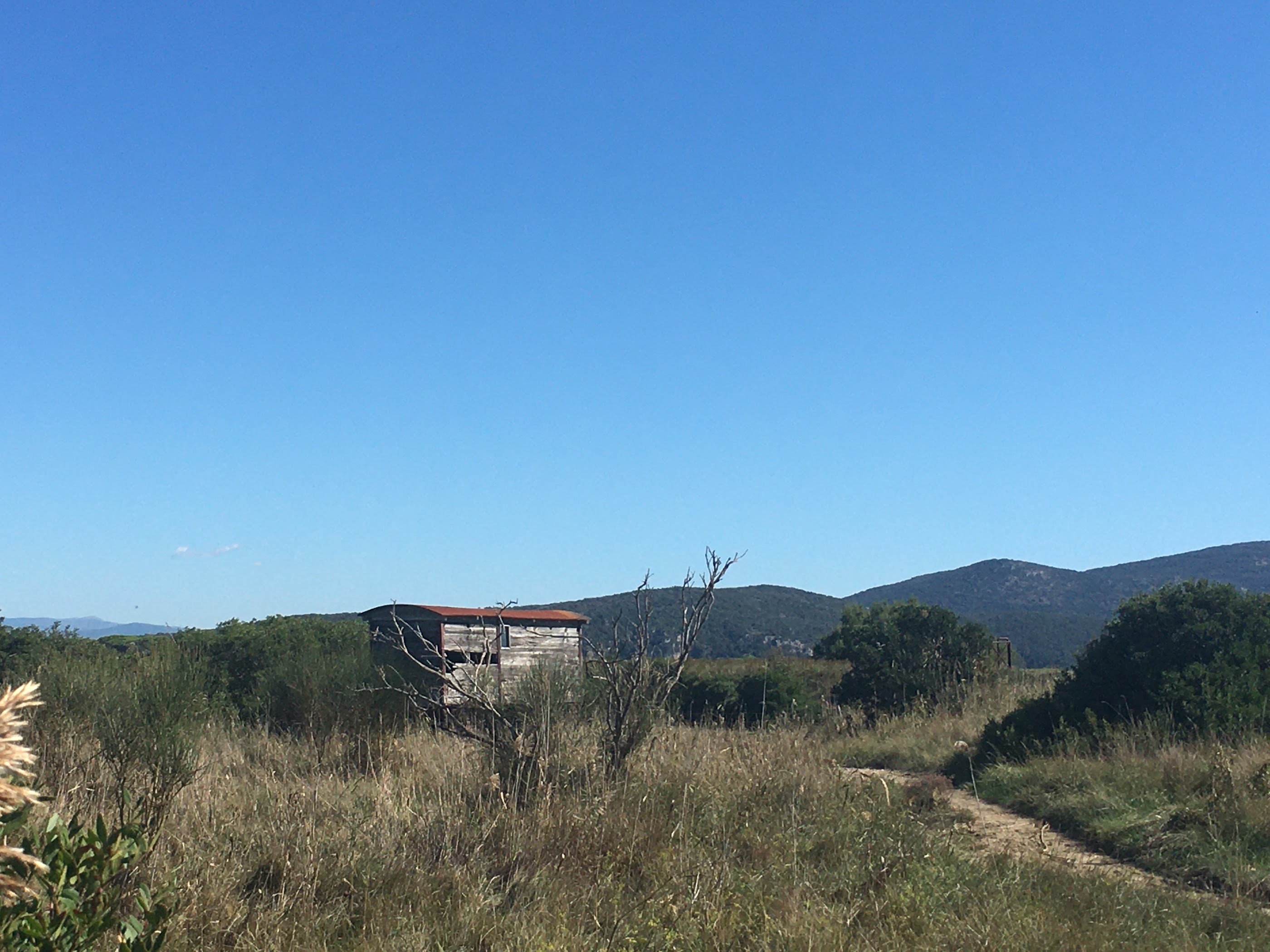 Vecchio carro, rifugio per birdwatching, Bocca D'Ombrone, Parco naturale della Maremma