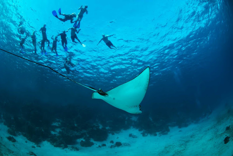 Ray Alley near San Pedro, Belize.