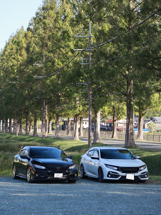 シビック(欧州HB)のメタセコイア並木道🌲🌲・カメ活ドライブ📸に関するカスタム事例の投稿画像5枚目