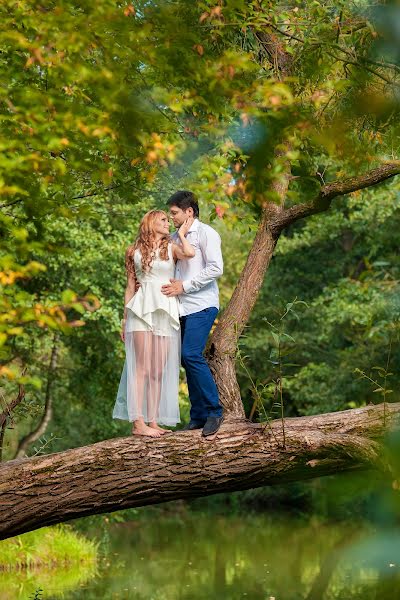 Fotografo di matrimoni Dmitriy Korol (icor). Foto del 24 ottobre 2017