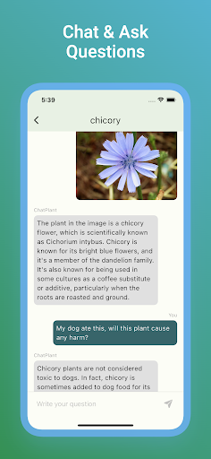 Screenshot ChatPlant: AI Plant Identifier