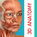 Icon Human Anatomy Learning - 3D