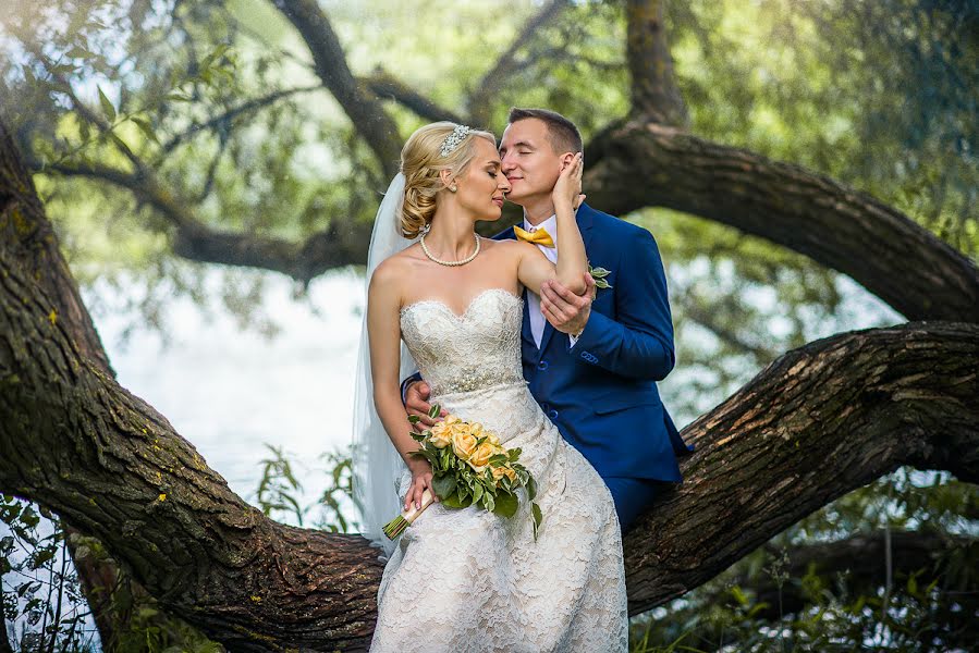 Photographe de mariage Igor Shushkevich (foto-video-bel). Photo du 27 novembre 2018