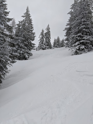 Ascherjoch forest lines