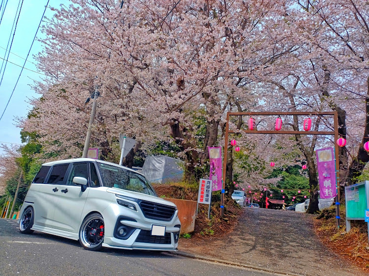 ソリオバンディットの桜が満開🌸・近所で撮影・提灯神社・5分先の桜・来週まで粘れ～に関するカスタム事例の投稿画像2枚目