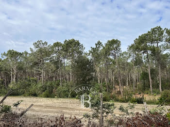 villa à Lege-cap-ferret (33)