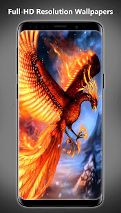 Phoenix Wallpapers(圖6)-速報App