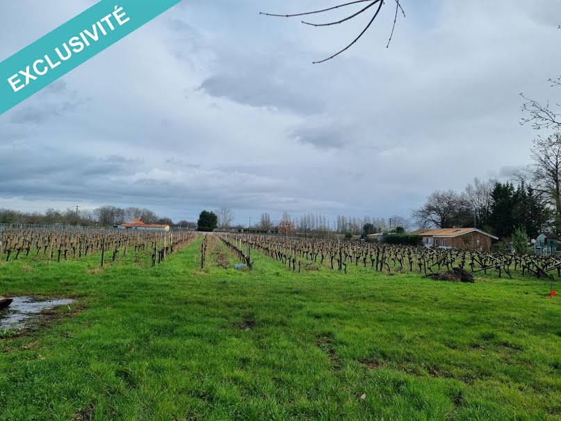 Vente terrain  5835 m² à Gauriaguet (33240), 501 000 €