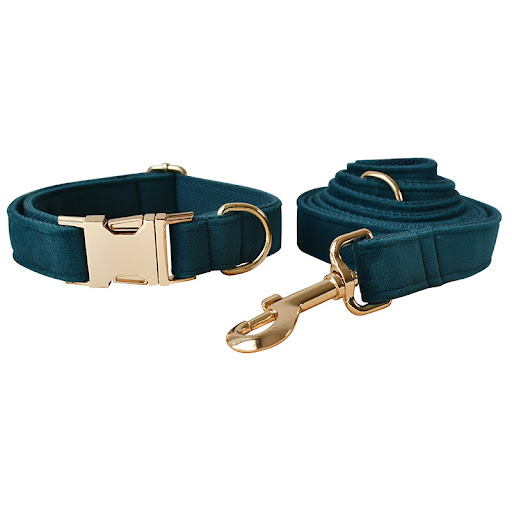 Title 5, Dog Leash and Pet Collar with Alloy Carabiner P...