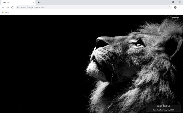 Lion New Tab & Wallpapers Collection