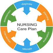 Nursing Care Plan NANDA Tables 1.0 Icon