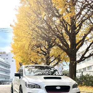 WRX STI VAB