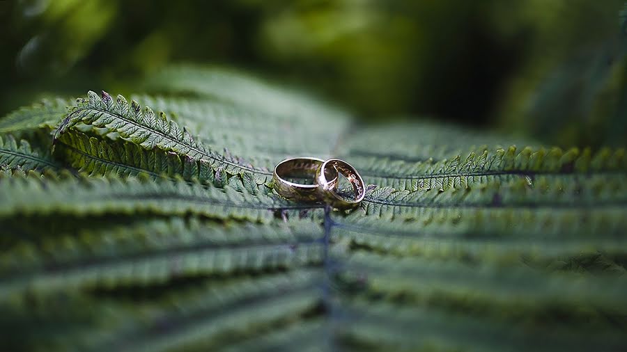 Fotografo di matrimoni Pavel Lyutov (kocmoc). Foto del 1 novembre 2018