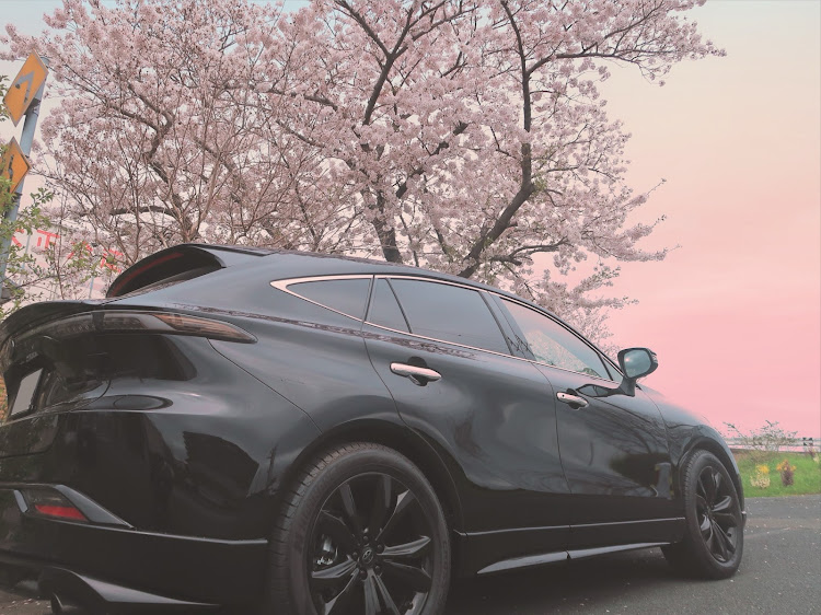ハリアーのサクラと愛車・4月もよろしくお願い致します🌸・桜に関するカスタム事例の投稿画像1枚目