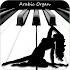 Arabic Organ3.0