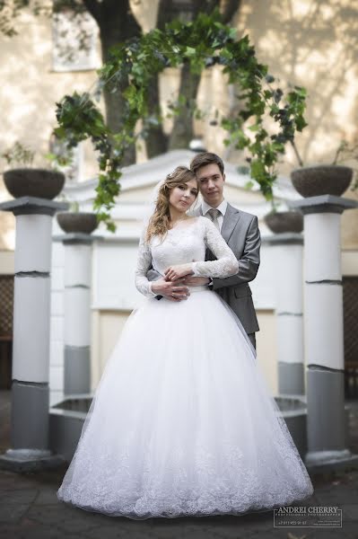 Fotografo di matrimoni Andrey Vishniveckiy (cherry). Foto del 12 luglio 2016