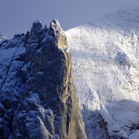 Bianco Vernel di 