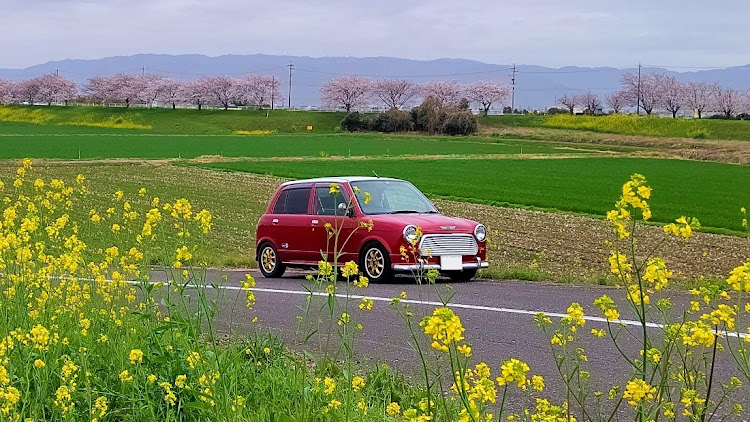 の投稿画像1枚目