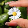 miniatures image - 17