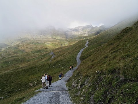 Viaje por los Alpes - Blogs de Suiza - Lago Bachalpsee y ascensión al Faulhorn (3)