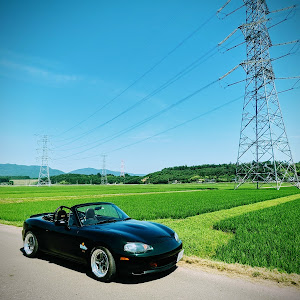 ロードスター NB8C