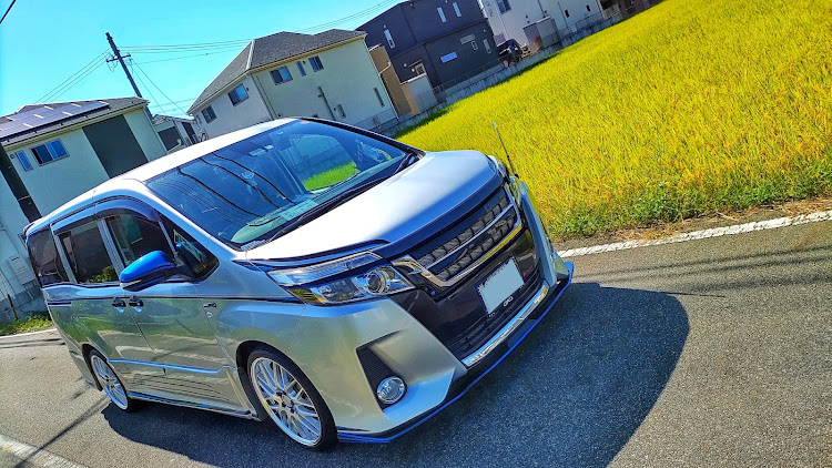 ノアの稲穂とコラボ・ネコ・高架萌え・鉄骨も好き・洗車狂いに関するカスタム事例の投稿画像8枚目