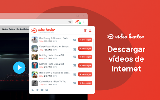 Video Hunter Downloader - Descargador de videos