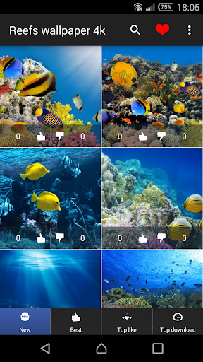 免費下載個人化APP|珊瑚礁壁纸4K app開箱文|APP開箱王