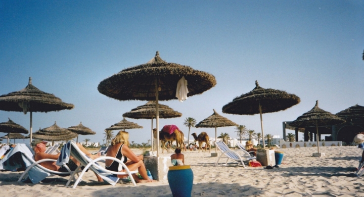 In spiaggia con i cammelli di lady oscar