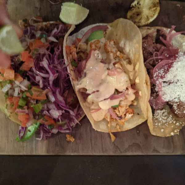 Gluten-Free Tacos at Criollo Latin Kitchen