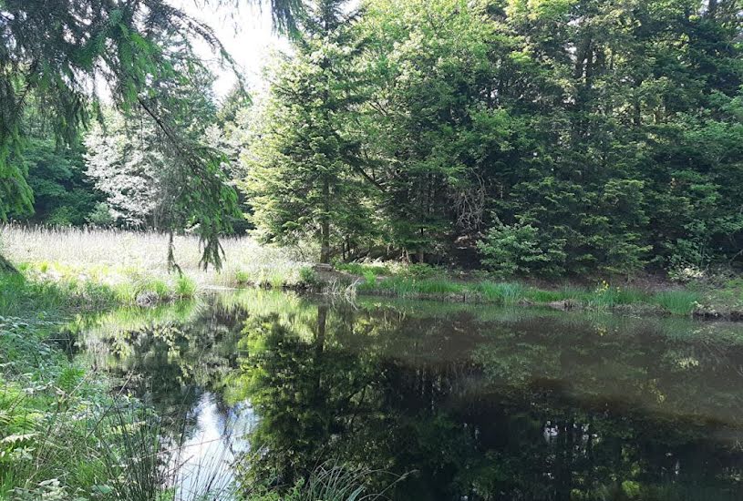  Vente Terrain à bâtir - à Faucogney-et-la-Mer (70310) 