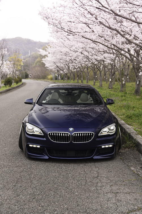 6シリーズ グランクーペのサクラと愛車・広島・生脚・桜とコラボに関するカスタム事例の投稿画像1枚目