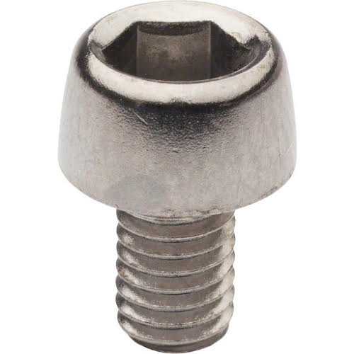 Campagnolo Rear Derailleur Cable Clamping Bolt, Each