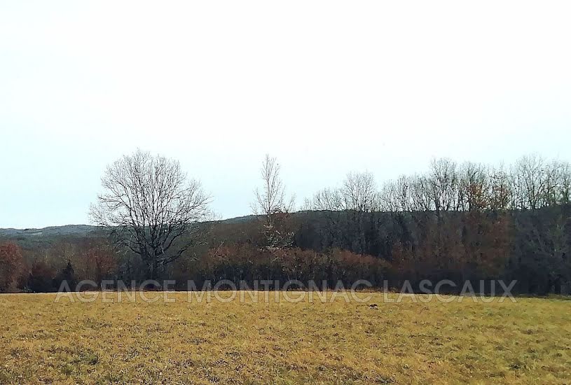  Vente Terrain à bâtir - 5 500m² à La Cassagne (24120) 